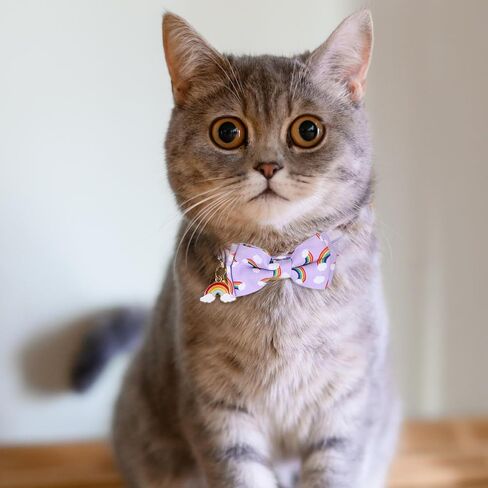 2 Pack Breakaway Cat Collar with Bow Tie Bell, Cute Rainbow Butterfly Pattern Bowtie Collars Soft Kitten Collar Adjustable Safety Summer Collars for Male Female Cats in Saudi Arabia