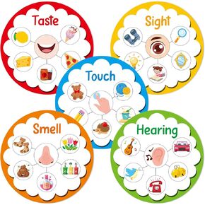 5 Senses Learning Activity for Kids Educational Teacher Supplies Five Senses Sorting Cards Learning Game Develop Fine Motor Skills for Toddlers Preschoolers and Kindergarteners Homeschool Must Haves in Kuwait