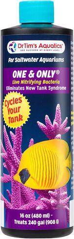 مياه عذبة واحدة فقط 8 أونصة in Kuwait