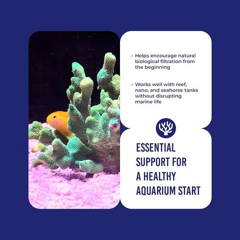 مياه عذبة واحدة فقط 8 أونصة in Kuwait