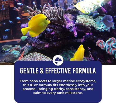 مياه عذبة واحدة فقط 8 أونصة in Kuwait