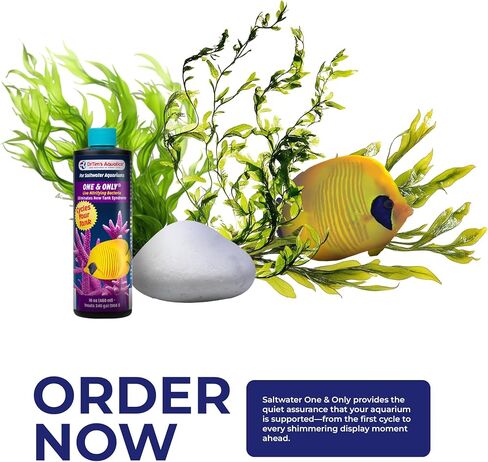 مياه عذبة واحدة فقط 8 أونصة in Kuwait