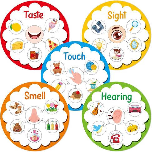 5 Senses Learning Activity for Kids Educational Teacher Supplies Five Senses Sorting Cards Learning Game Develop Fine Motor Skills for Toddlers Preschoolers and Kindergarteners Homeschool Must Haves in Kuwait