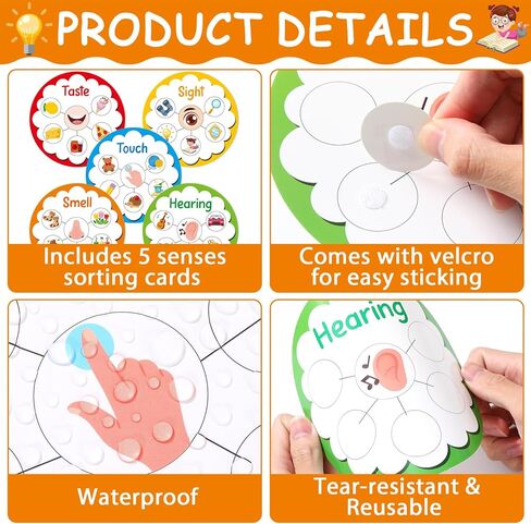 5 Senses Learning Activity for Kids Educational Teacher Supplies Five Senses Sorting Cards Learning Game Develop Fine Motor Skills for Toddlers Preschoolers and Kindergarteners Homeschool Must Haves in Kuwait