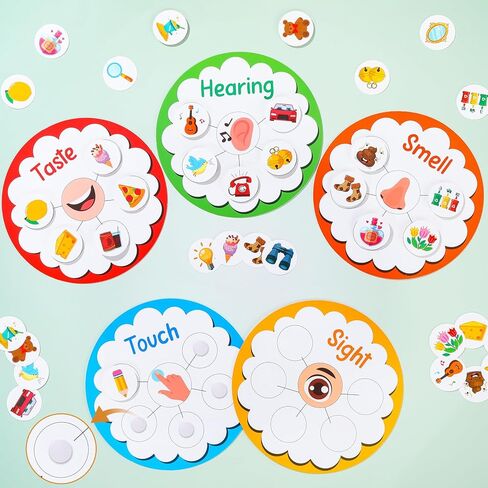 5 Senses Learning Activity for Kids Educational Teacher Supplies Five Senses Sorting Cards Learning Game Develop Fine Motor Skills for Toddlers Preschoolers and Kindergarteners Homeschool Must Haves in Kuwait