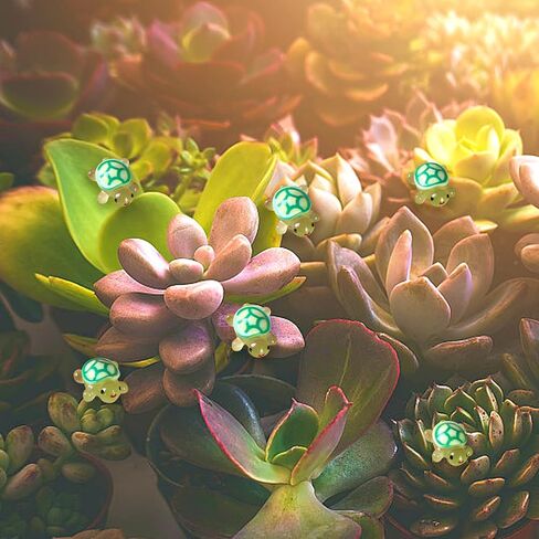 70PCS Luminous Mini Resin Turtles, Resin Animals, Mini Turtles, Marine Craft Decoration, Suitable for Decoration of Gardens, Parties, Miniature Landscapes (10 Colors) in Saudi Arabia