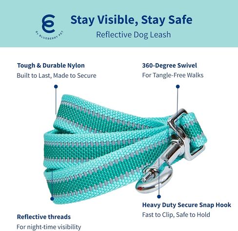 Blueberry Pet Essentials Reflective Back to Basics Matching Dog Harness and Leash Set, Minty Green, Adjustable Harness with 5 ft Leash for Small Dogs in Saudi Arabia