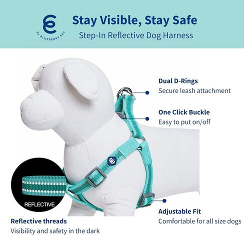 Blueberry Pet Essentials Reflective Back to Basics Matching Dog Harness and Leash Set, Minty Green, Adjustable Harness with 5 ft Leash for Small Dogs in Saudi Arabia