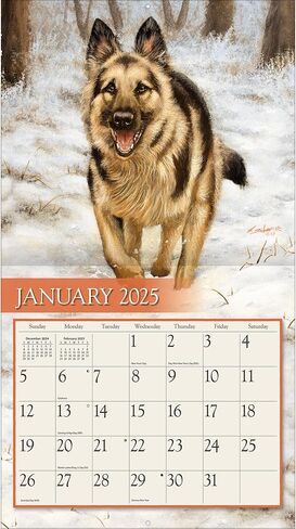 شركات Lang ، Love of Dogs 2026 Wall Calendar بواسطة John Silver ، 13.4 '× 12' '، تقويم لمدة 12 شهر in Saudi Arabia