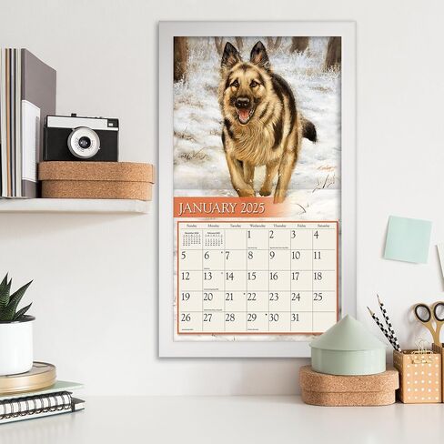 شركات Lang ، Love of Dogs 2026 Wall Calendar بواسطة John Silver ، 13.4 '× 12' '، تقويم لمدة 12 شهر in Saudi Arabia