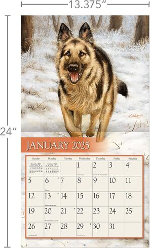 شركات Lang ، Love of Dogs 2026 Wall Calendar بواسطة John Silver ، 13.4 '× 12' '، تقويم لمدة 12 شهر in Saudi Arabia