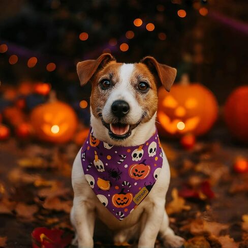 Bandanas الكلاب الهالوين مع زر Snap ، 2 حزمة Pumpkin & Ghost Pet وشاح للبنين والفتاة ، نسيج متين متميز ، نوبة قابلة للتعديل ، باندانا عصبية للكلاب الصغيرة (صغيرة) in Kuwait