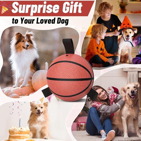 ألعاب عيد ميلاد الكلب الكلب ، ألعاب الكلاب الصاخبة ، كرة كرة القدم للكلاب مع الأشرطة ، هدايا الجرو ، كرات الرعي مع الجرس داخل ، لعبة ماء ، كرة متينة للكلاب الكبيرة المتوسطة (8 بوصات) in Kuwait