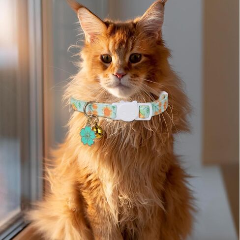2 Pack Cat Collars, Safety Adjustable Cat Collars, Cotton Breakaway Cat Collar Set, Strawberries and Heart Shaped Pendant Kitten Collar (Light Green + Orange) in Saudi Arabia