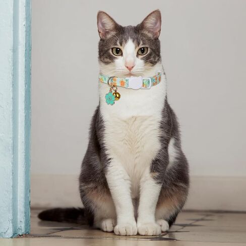 2 Pack Cat Collars, Safety Adjustable Cat Collars, Cotton Breakaway Cat Collar Set, Strawberries and Heart Shaped Pendant Kitten Collar (Light Green + Orange) in Saudi Arabia