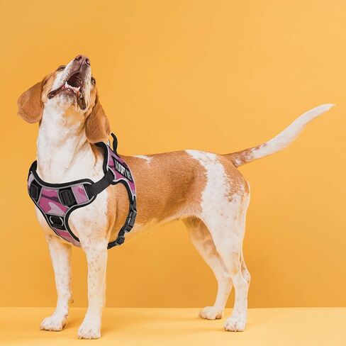 Dogline Quest No-Pull Dog Sharness مع تبنيني بقع قابلة للإزالة قابلة للإزالة عاكسة ناعمة ناعمة مريحة الكلب مع إطلاق سريع الأبواب المزدوجة الأجهزة السوداء والتعامل مع 21 إلى 25 بوصة camo in Kuwait