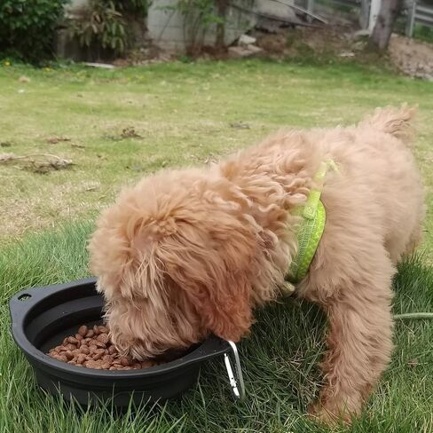Collapsible Silicone Dog Bowl with Carabiner, 3 Sizes 5-27oz, Portable Pet Outdoor,Travel Bowl,(Black and Red) in Kuwait
