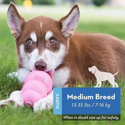 KONG - Puppy Toys for Teething with Puppy Easy Treat Stuffing (Colors May Vary) - for Medium Puppies in Saudi Arabia