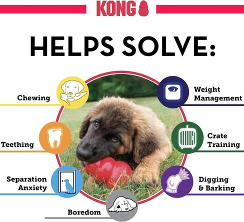 KONG - Puppy Toys for Teething with Puppy Easy Treat Stuffing (Colors May Vary) - for Medium Puppies in Saudi Arabia