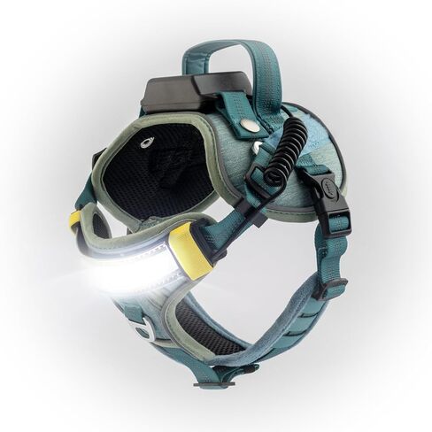 Lumi One LED Dog Harness من أجل الرؤية الليلية والسلامة ، براءات الاختراع المعلقة-سترة الكلب عالية الوضوح مع 1000 LUMEN LED ، بطارية قابلة للشحن ، ملاءمة قابلة للتعديل ، تقليم عاكس (أسود ، كبير) in Saudi Arabia