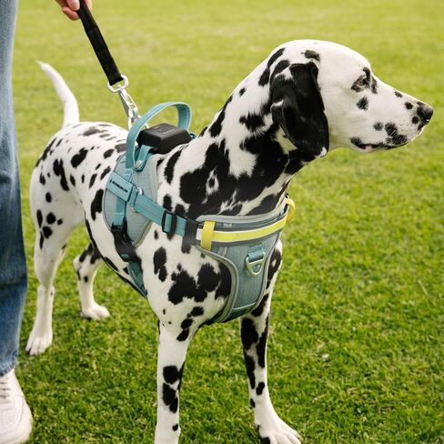 Lumi One LED Dog Harness من أجل الرؤية الليلية والسلامة ، براءات الاختراع المعلقة-سترة الكلب عالية الوضوح مع 1000 LUMEN LED ، بطارية قابلة للشحن ، ملاءمة قابلة للتعديل ، تقليم عاكس (أسود ، كبير) in Saudi Arabia