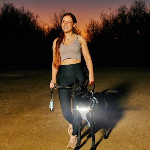 Lumi One LED Dog Harness من أجل الرؤية الليلية والسلامة ، براءات الاختراع المعلقة-سترة الكلب عالية الوضوح مع 1000 LUMEN LED ، بطارية قابلة للشحن ، ملاءمة قابلة للتعديل ، تقليم عاكس (أسود ، كبير) in Saudi Arabia