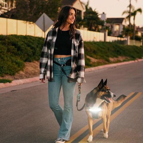 Lumi One LED Dog Harness من أجل الرؤية الليلية والسلامة ، براءات الاختراع المعلقة-سترة الكلب عالية الوضوح مع 1000 LUMEN LED ، بطارية قابلة للشحن ، ملاءمة قابلة للتعديل ، تقليم عاكس (أسود ، كبير) in Saudi Arabia
