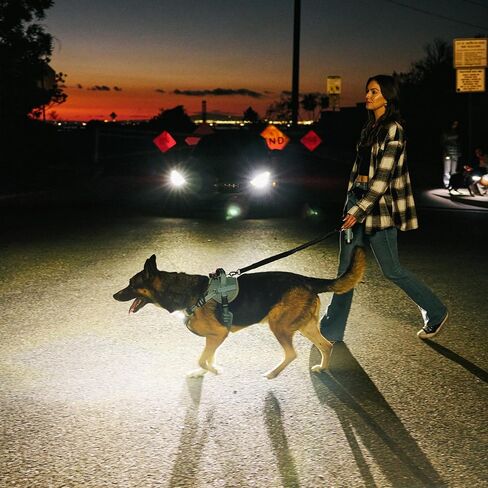 Lumi One LED Dog Harness من أجل الرؤية الليلية والسلامة ، براءات الاختراع المعلقة-سترة الكلب عالية الوضوح مع 1000 LUMEN LED ، بطارية قابلة للشحن ، ملاءمة قابلة للتعديل ، تقليم عاكس (أسود ، كبير) in Saudi Arabia
