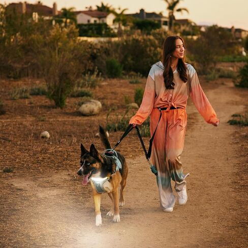 Lumi One LED Dog Harness من أجل الرؤية الليلية والسلامة ، براءات الاختراع المعلقة-سترة الكلب عالية الوضوح مع 1000 LUMEN LED ، بطارية قابلة للشحن ، ملاءمة قابلة للتعديل ، تقليم عاكس (أسود ، كبير) in Saudi Arabia