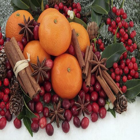 زيت العطر الرائع لعيد الميلاد (زجاجة 16 أوقية) لصنع الشموع ، صنع الصابون ، صنع تورتة ، بخاخات الغرفة ، المستحضرات ، معطرات السيارات ، الوحل ، قنابل الحمام ، المدفوعات ... in Saudi Arabia