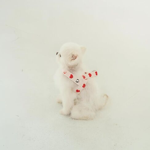 Heart Small Dog Harness-حزام ناعم ، مقطع أمامي وخلفي ، تصميم بدون نقاط ، خفيفة الوزن (العاج ، المتوسط) in Kuwait
