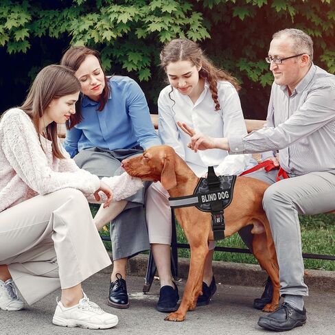 Dogline Unimax Dog Harness Step مع بقع الكلب الأعمى عاكسة لا تبرز ، وأشرطة قابلة للتعديل ، والنيوبرين القابل للتنفس من أجل الطبية ، والخدمة ، والتعرف على الكلاب وتدريب الكلاب 36 إلى 46 "Giraffe Gray in Kuwait
