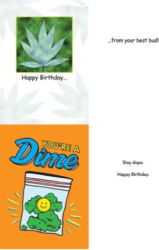 Men's Funny Adult Birthday Greeting Card (5" x 7") by Smart Alex 3 Pack + 3 Envelopes (Star Trek Captain's Log) in Kuwait