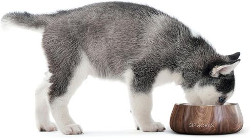 Dog Bowl - Weighted Stainless Steel Dog Bowl with Non-Slip Base - Portable Metal Food and Water Bowls for Dogs - Pet Bowls for All Breeds Sizes for Travel & Outdoor Play - 32oz | Cobalt in Saudi Arabia