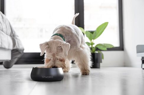 Dog Bowl - Weighted Stainless Steel Dog Bowl with Non-Slip Base - Portable Metal Food and Water Bowls for Dogs - Pet Bowls for All Breeds Sizes for Travel & Outdoor Play - 32oz | Cobalt in Saudi Arabia