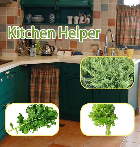 Bottery Herb Stripper Bowl ، متجرد عشب سيراميك مصنوع يدويًا مع أداتين ، ثقوب مختلفة للأحجام للبقدونس ، روزماري ، خضراء الكرات ، أدوات المطبخ لفصل الأوراق والسيقان (مجموعة من 3 قطع) in Kuwait