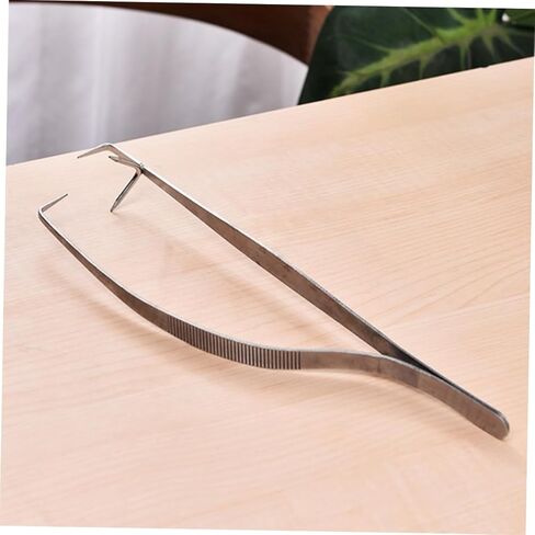 Nuobesty المقاوم المقاوم للصدأ الزجاج الزجاجية غمس تونغ ل in Kuwait