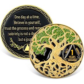 Sobriety Coin Recovery Anniversary Token Sobriety Gifts AA Chips and Medallions for Women Men(Green,2 Year) in Kuwait