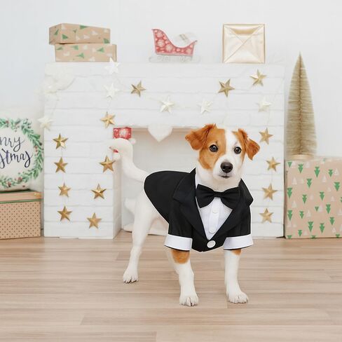 Dog Tuxedo, Dog Tuxedo Suit with Bow Tie, Pet Tuxedos for Small Dogs and Cats, Pet Wedding Attire Dress Up, Doggy Prince Bow Tie Shirt, Doggy Gentleman Apparel for Halloween, Engagement and Christmas in Saudi Arabia