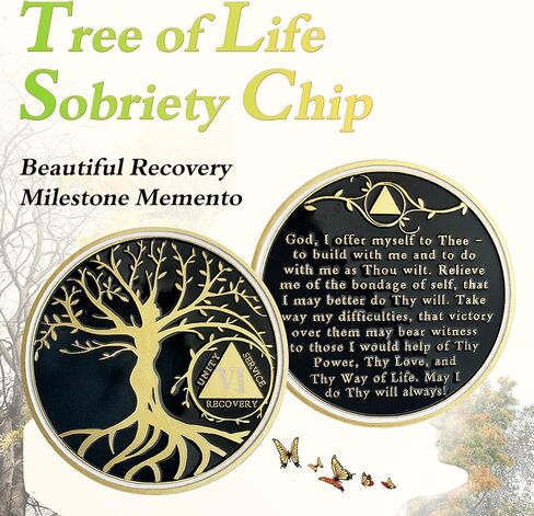 33 Year Sobriety Chip Tree of Life AA Medallion Recovery Gift Alcoholics Anonymous Coin Anniversary Token in Kuwait