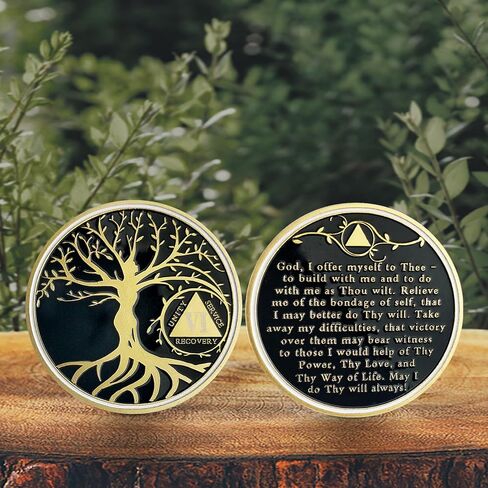 33 Year Sobriety Chip Tree of Life AA Medallion Recovery Gift Alcoholics Anonymous Coin Anniversary Token in Kuwait