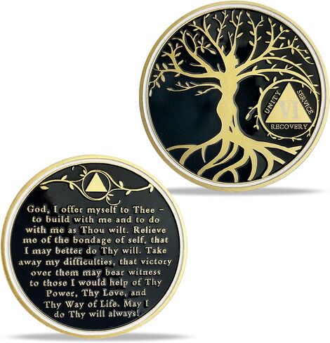 33 Year Sobriety Chip Tree of Life AA Medallion Recovery Gift Alcoholics Anonymous Coin Anniversary Token in Kuwait