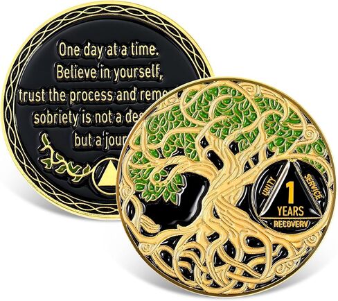 Sobriety Coin Recovery Anniversary Token Sobriety Gifts AA Chips and Medallions for Women Men(Green,2 Year) in Saudi Arabia