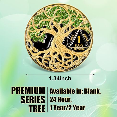 Sobriety Coin Recovery Anniversary Token Sobriety Gifts AA Chips and Medallions for Women Men(Green,2 Year) in Saudi Arabia