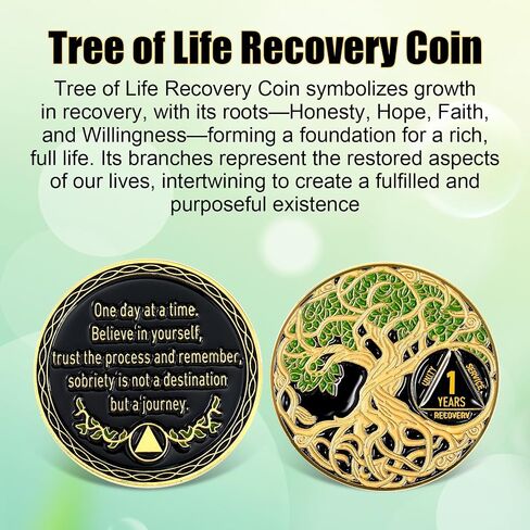 Sobriety Coin Recovery Anniversary Token Sobriety Gifts AA Chips and Medallions for Women Men(Green,2 Year) in Saudi Arabia