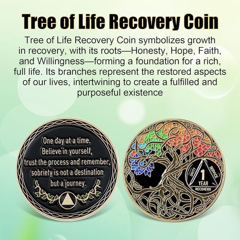 هدايا الرصانة الرمزية لعملة الرصانة الرمزية الرمزية للرقائق والميداليات للنساء الرجال (أخضر ، عامين) in Kuwait