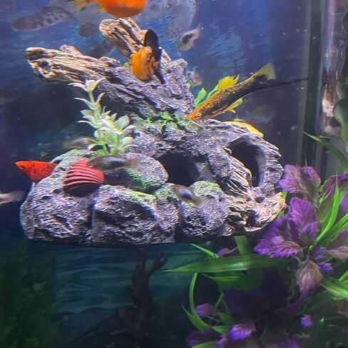 Aquarium Decor Magnetic Driftwood Outcropping Ornament –Wall-Mounted Fish Tank Accessory in Saudi Arabia