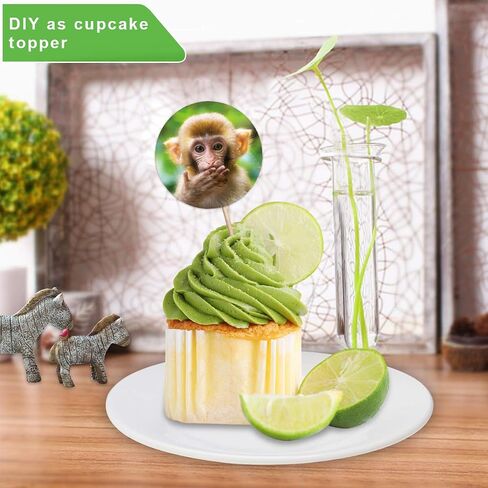 ملصقات حيوانية للأطفال واقعية للحيوانات ملصقات حيوانات Safari Sawls for Toddlers Party Party Favors Decord Decor in Saudi Arabia
