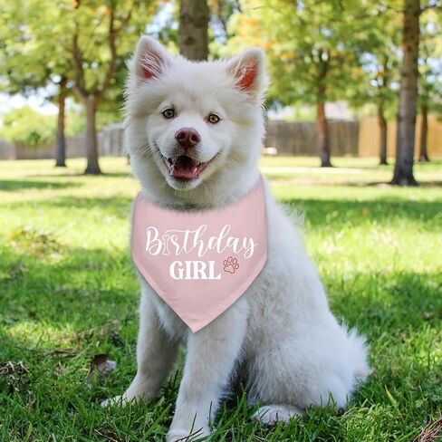 عيد ميلاد سعيد أمي الكلاب باندانا أمي مثلجل الكلاب باندانا وشاح للكلاب أبي هدايا إكسسوارات لعشاق عيد ميلاد الكلاب أبي هدية in Kuwait