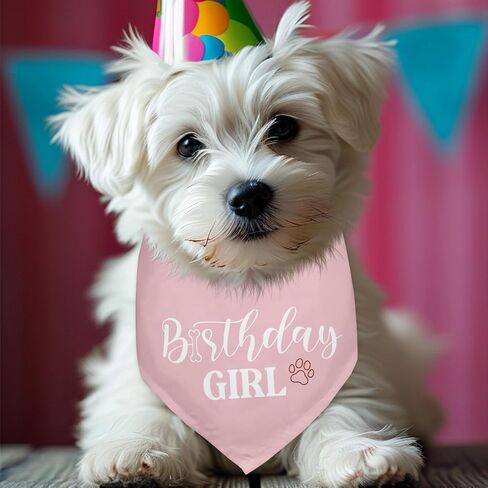 عيد ميلاد سعيد أمي الكلاب باندانا أمي مثلجل الكلاب باندانا وشاح للكلاب أبي هدايا إكسسوارات لعشاق عيد ميلاد الكلاب أبي هدية in Kuwait